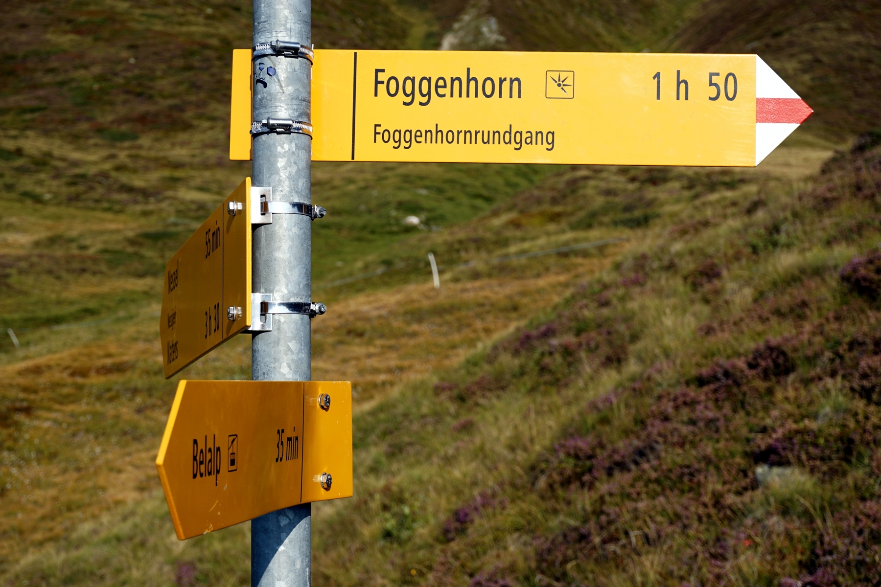 Hike Fly Belalp Foggenhorn